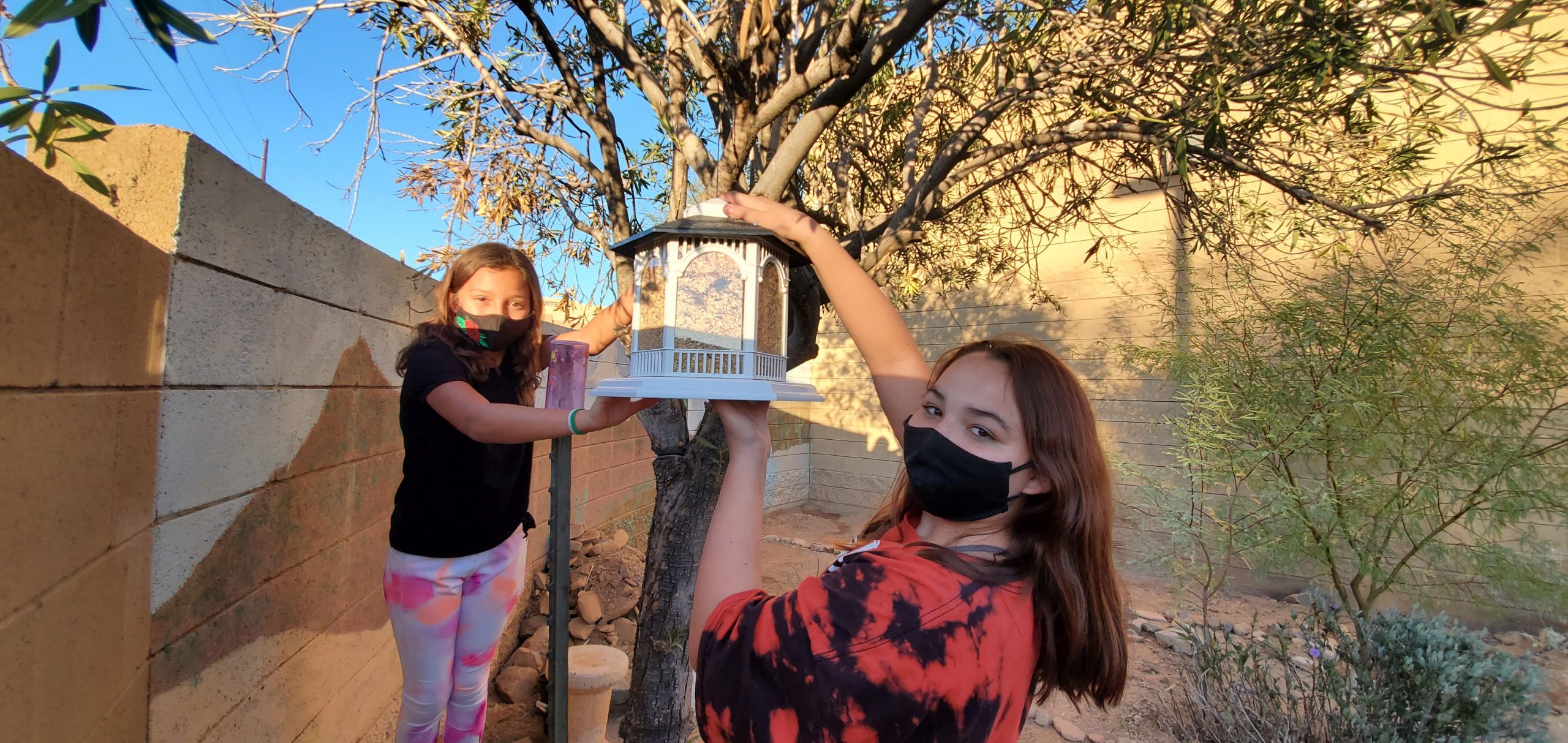 New bird feeders at Fountain Hills Charter School