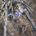Coon Bluff Cleanup 2-17-18 067 c