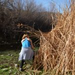 Coon Bluff Cleanup 2-17-18 098 c